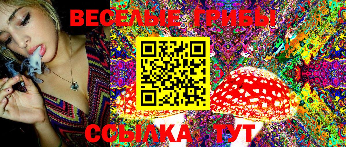 Псилоцибиновые грибы GOLDEN TEACHER Вологда
